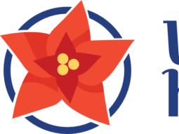 Vánoční hvězda pomáhá